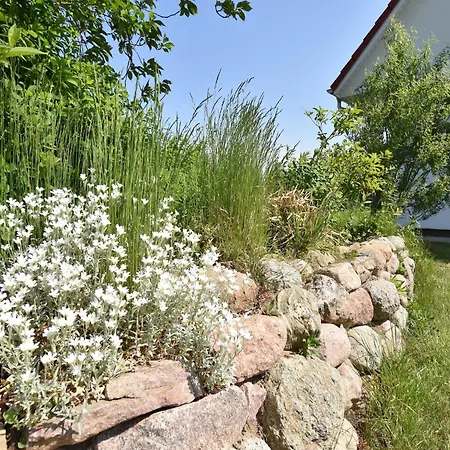 Mit Trampolin In Hornstorf, Cleaning Included Ferienhaus *